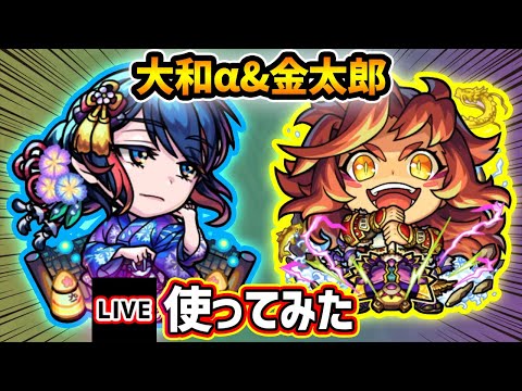 【🔴モンストライブ】エンベズラーさん！？『大和α・金太郎』獣神化改を使ってみた【けーどら】