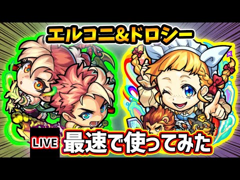 【🔴モンストライブ】庭園5で通用するのか！？『エルマルー&コニィルー・ドロシー』獣神化改を最速で使ってみた【けーどら】