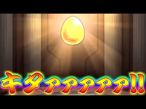 【モンスト】 第二弾フリーレンコラボガチャリベンジした結果！！まさかの奇跡起きるｗｗ