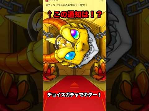 【エル当たる】チョイスガチャで祝福メッセージ‼️#モンスト #shorts