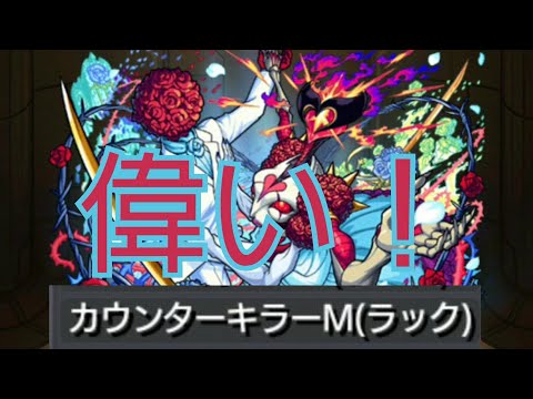 【シュリン&ガーラ】天魔の孤城で使える運極！カウンターキラーMは伊達じゃない【モンスト】