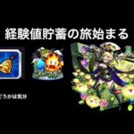 【モンスト】朝活ノマクエ雑談