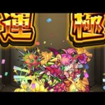 【モンスト】いざ出航じゃ〜！Live配信