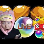 看生放 刷刷｜モンスト怪物彈珠｜小兔宅子