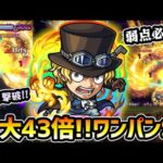 【サボ】※弱点必中”22倍”のワンパンSS！超ADW×超AW発動でさらに約2倍火力UP！4アンチアビ持ちで今後もワンパン枠として出番が多そう。ワンピースコラボ『サボ』使ってみた【けーどら】