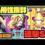 【サンジ】連撃Lが乗るワンパン系SSの破壊力!!!『ただ癖も判明!!!天魔10は!?』4ギミックの汎用性に連撃L殴りが強力!!!《ワンピースコラボ》【ぺんぺん】