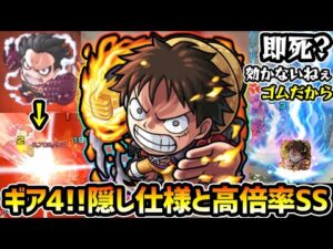 【ルフィ】※隠し仕様で『即死』無効化…ゴム人間を完全再現。ギア4 バウンドマンSSの仕様も判明！自強化3倍はお化け。見聞色で未来の”転送壁”適性も。ワンピースコラボ『ルフィ』使ってみた【けーどら】