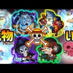 【ワンピースコラボ★4-5】※この中に1体、化物おったw 麦わらの一味『ジンベエ・フランキー・ブルック・ウソップ』全員優秀だが、中でも良かったのは？ワンピースコラボ『★4-5キャラ』厳選して使ってみた