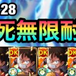 【ルフィ】即死級攻撃を”無限耐久”！！禁忌28のヴィーラをブチ切れさせまくって勝つ（ラズゲ奇跡）