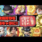 【ワンピースコラボ】大当たりキャラを更に強く!!《全6キャラおすすめのわくわくの実》最強キャラへの道!!【ぺんぺん】