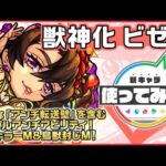 【新キャラ】ビゼー獣神化！貴重なアンチ転送壁を含むトリプルアンチアビリティ！自身の火力を底上げする、マインスイーパーM、幻獣キラーM、鳥獣封じM、底力を所持！【新キャラ使ってみた｜モンスト公式】