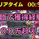 【パンプキーナ５手】ベルノマよりも圧倒的稼げる『けいウサ』がきた！ランク上げするなら今しかない！効率よく周回するには？？【モンスト】