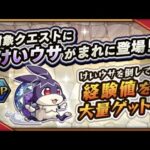 【けいウサ】俺たちのランクを爆上げするために最適編成を考える