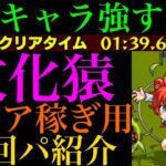 【モンスト】あの超優秀キャラが早速大暴れ!?『紋化猿』のおすすめ周回パを紹介！