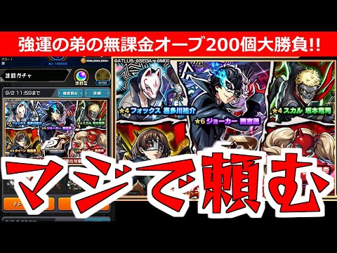 【モンスト】「ペルソナ5コラボガチャ」※兄の仇をとってくれ！！無課金弟が貯めたオーブ250個で大勝負！！【ペルソナ5ザ・ロイヤルコラボ】