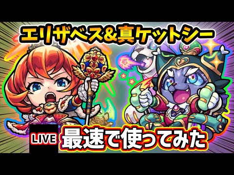 【🔴モンストライブ】EXグランディオーソで使う！『エリザベス・ケットシー』獣神化改・真獣神化を最速で使ってみた【けーどら】