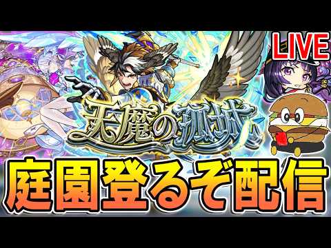 【🔴モンストLive】空中庭園登る＆覇者も終わらせる配信【しゅんぴぃ】