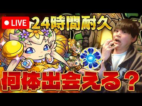 【モンストLIVE】24時間原生の神殿を周回し続けたらわくわくプリンセスは何体出るのか検証します