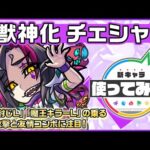 【新キャラ】チェシャ猫 獣神化！「魔王キラーL」「聖精封じL」を所持し、3種族に対しての直接攻撃や友情コンボに注目！1段階目8ターンで使えるSSも魅力的！ 【新キャラ使ってみた｜モンスト公式】