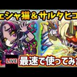 【🔴モンストライブ】『チェシャ猫』獣神化＆『サルタヒコ』獣神化改を最速で使ってみた【けーどら】