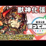 【新キャラ】張遼 獣神化！スピードとパワーが一定期間アップするSSと「カウンターキラーM」の相性◎！超SSターンアクセルとSSターン短縮で早めに使用できる！【新キャラ使ってみた｜モンスト公式】