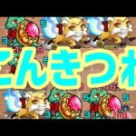 【モンストライブ】こんきつね周回配信