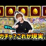 【確定マシマシ5属性ガチャ】※うそやん…そんなことある？うわあああああ、やっちまったあああああ！！！罠ガチャ？オーブ250個使って引いた結果…これが現実でした【けーどら】