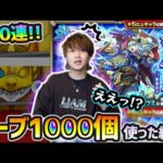 【水の遊宴200連】※渋いと言われる属性ガチャで、この引きは…ええっ！？新限定『シャルルマーニュ』狙いで、オーブ1000個使った結果…【けーどら】