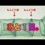 【モンストLIVE🔴】イケボじゃなくて悪かったな！てかモンドリまであと1日だって⁉【すぷほぱ】