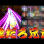 【モンスト】 とんでもねぇ衝撃映像や…兄貴のジョジョコラボガチャリベンジの結果が…