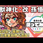 【新キャラ】孫悟空 獣神化・改！「禁忌の獄〜深淵〜」木獄の涅槃寂静で活躍！【新キャラ使ってみた｜モンスト公式】