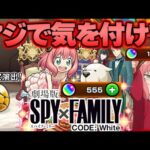 【SPY×FAMILY】このガチャやばすぎるでしょ【モンスト】