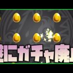 遂にガチャ廃止へ…