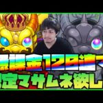 【モンスト】完全無課金で120連分貯めたので新春超獣神祭『マサムネ』当てるんだ！！！！！【ぎこちゃん】