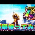 【激強】極限した龍拳を使ってみた！新レッドゾーンで【ドッカンバトル】