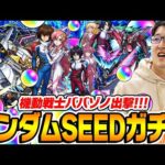 【モンスト】無料オーブ連合軍将軍ターザン馬場園のガンダムSEED FREEDOMコラボガチャ！キラ&ラクス/アスラン/シン狙い！【ガンダムコラボ第2弾】