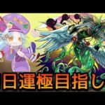 【🔴LIVE】新轟絶カカゴセデク 初見攻略&初日周回【モンスト】