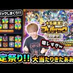 【プレイバックガチャ】※限定キャラ出すぎだろｗ そして欲しかった大当たり限定キャラきたあああ！！！欲深く最大80連まで回しまくった結果…大満足の結果に！？【けーどら】