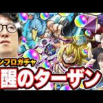 【シャンフロコラボガチャ】いつものターザン馬場園じゃない!!?【モンストオーブ無課金プレイサンラク/オイカッツォ/アーサー・ペンシルゴン狙い】