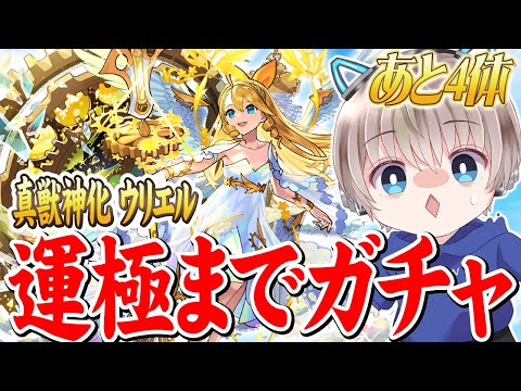 【モンストライブ】真獣神化『ウリエル』運極になるまで終われませんガチャ配信。【ゆらたま】