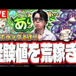 【🔴モンストLIVE】「けいウサ」を乱獲して経験値ガッポリ稼いでいく!! 超簡単に攻略できる編成は⁉  情報交換しましょう!!【リドーラ姫】