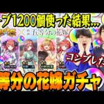 【五等分の花嫁コラボガチャ】M4タイガー桜井&宮坊がオーブ1200個使って240連した結果…【モンスト｜中野一花/二乃/三玖/四葉/五月コンプ狙い超獣神祭ガチャ】