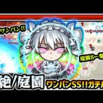 【夜桜二刃】※一撃必殺、ワンパンSS！！空中庭園8/黎絶アブピッシャーもワンパン可能な性能！！どちらも競合揃いだがガチパ採用あるか。夜桜さんちの大作戦コラボ使ってみた【けーどら】