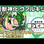 【新キャラ】ヴァルキリー 真獣神化！味方のパワーをアップするアシストスキルとショットスキルのサポート性能に注目！【新キャラ使ってみた｜モンスト公式】