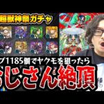 【新春超獣神祭ガチャ】オーブ1185個でヤクモを狙った動画スタッフ小川の末路。まさかの結果に唖然。【モンスト】