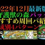 【モンスト】1年経ってめっちゃ周回しやすくなってる!?守護獣の森『パック』の周回パを編成難易度別に4パターン紹介！レベル上げはするべき??【リゼロコラボ】