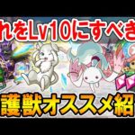 最強のサポート役！守護獣オススメ紹介《2022年決定版》どれからレベル上げすべきか徹底解説！【モンスト/しゅんぴぃ】