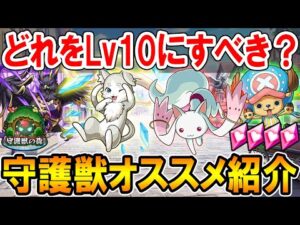 最強のサポート役！守護獣オススメ紹介《2022年決定版》どれからレベル上げすべきか徹底解説！【モンスト/しゅんぴぃ】