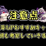 【けいウサ】注意点とやっておきたいこと。おすすめ確率アップキャラ考察【モンスト】
