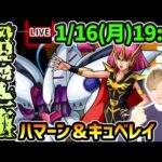 【🔴モンストライブ】ガンダムコラボ最難関クエスト…？？超究極『ハマーン＆キュベレイ』を生放送で攻略！【けーどら】